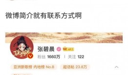 有娱乐圈爆料的小说,揭秘小说中的明星秘事