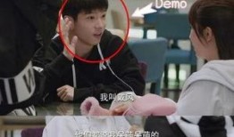 肖战杨紫爆料视频全集,幕后真相与情感纠葛大起底